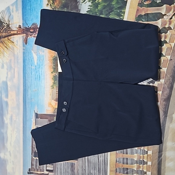 Ann Taylor Navy Dress Pants Size 2 NWT - Picture 1 of 6